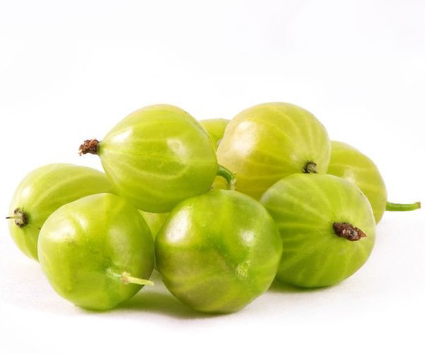 Onion and Garlic vs Turmeric and Ginger • Shaka Vansiya Ayurveda