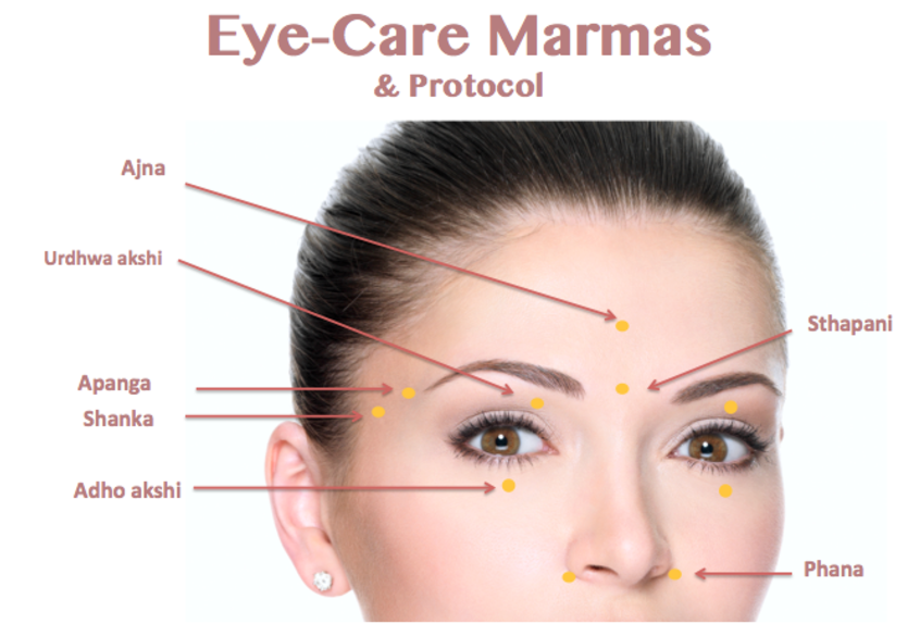 SVA Remedy for Eye Floaters? • Shaka Vansiya Ayurveda