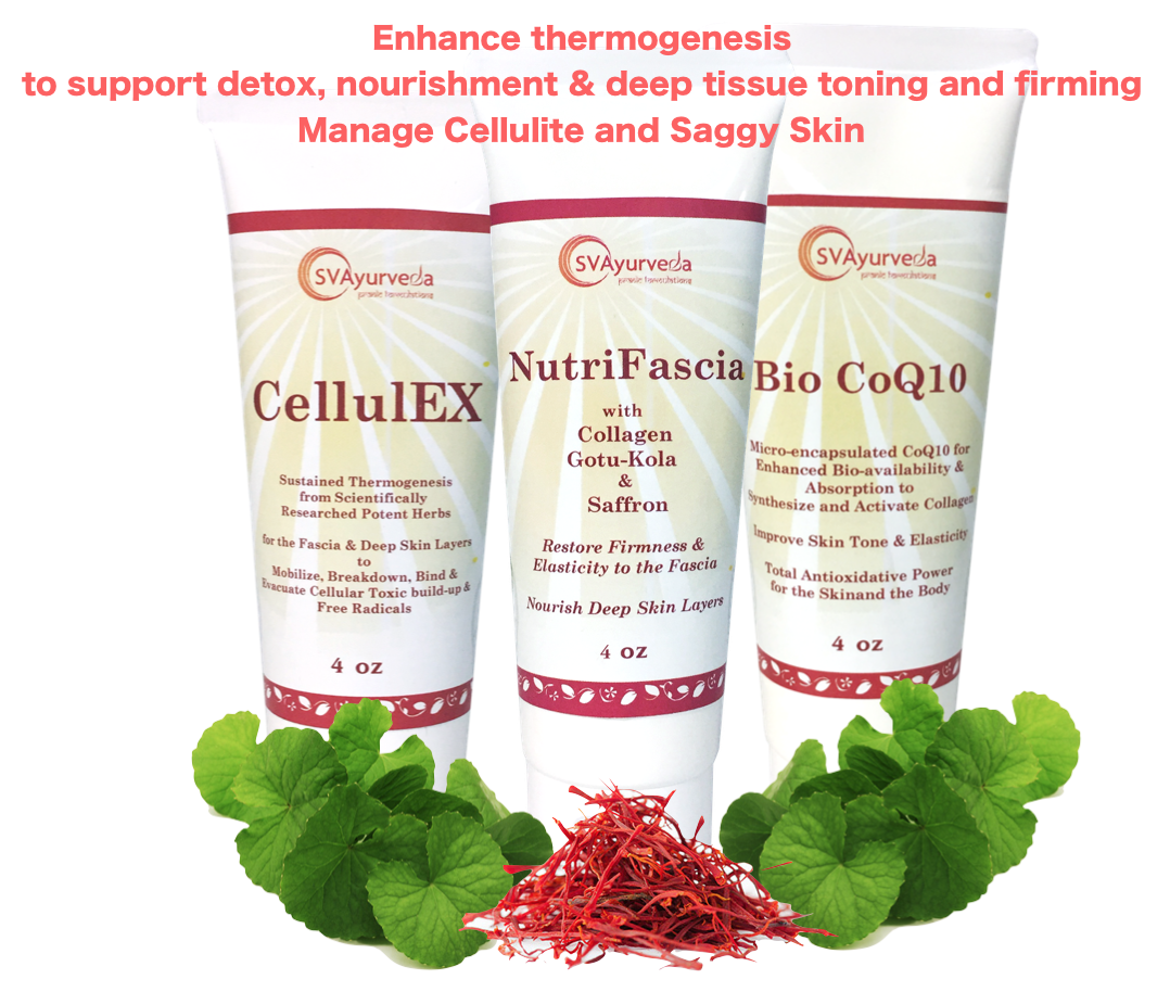 CellulEX, Nutrifascia, & BioCoQ10 Transdermal Cellulite Solutions